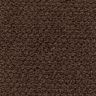 Ковровое покрытие Associated Weavers Zest-44 коричневый — купить в Москве в интернет-магазине Snabimport