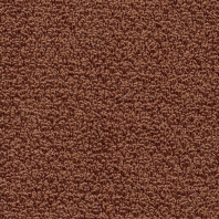 Ковровое покрытие Associated Weavers Zest-84 коричневый — купить в Москве в интернет-магазине Snabimport
