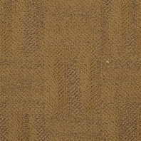 Ковровое покрытие Masland Zone 7231-32100 коричневый
